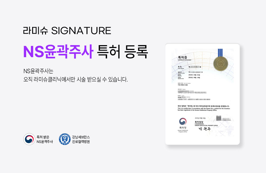 라미슈 특허 안내